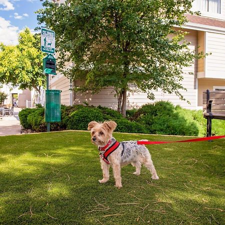 Residence Inn Denver Downtown Экстерьер фото