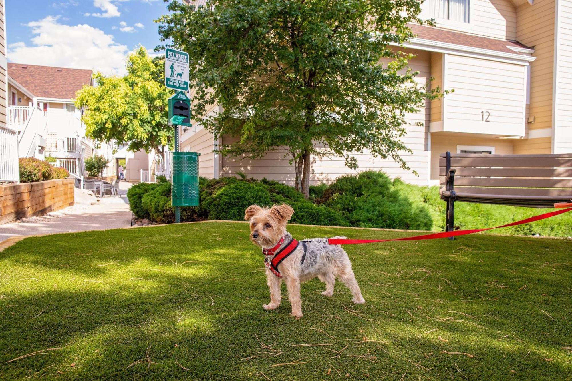 Residence Inn Denver Downtown Экстерьер фото